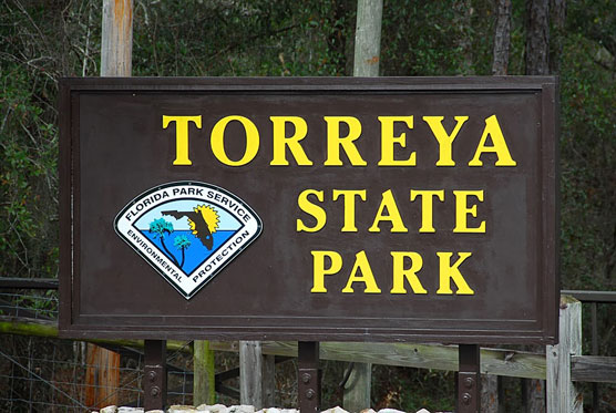 Torreya-Sign