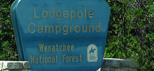 Lodgepole Mt Rainier
