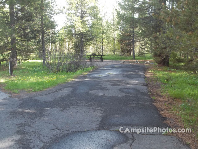 Buffalo Campground Loop F 016