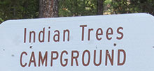 Indian Trees