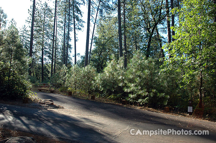 Hirz Bay Campground 012