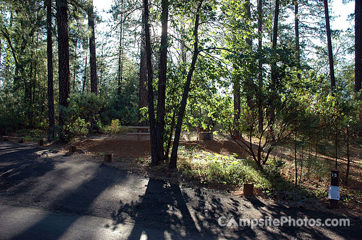Hirz Bay Campground 019