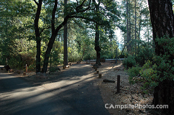 Hirz Bay Campground 026