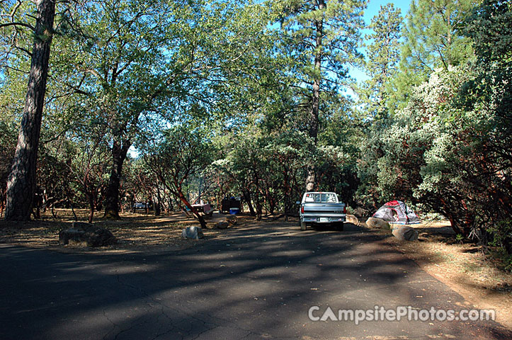Hirz Bay Campground 028