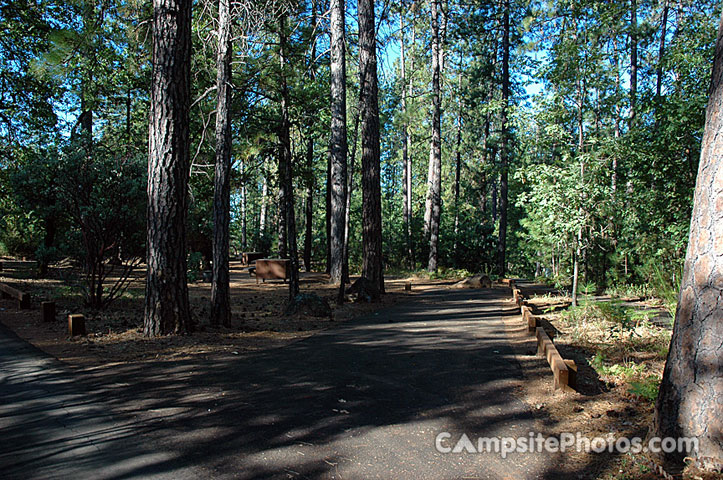Hirz Bay Campground 038
