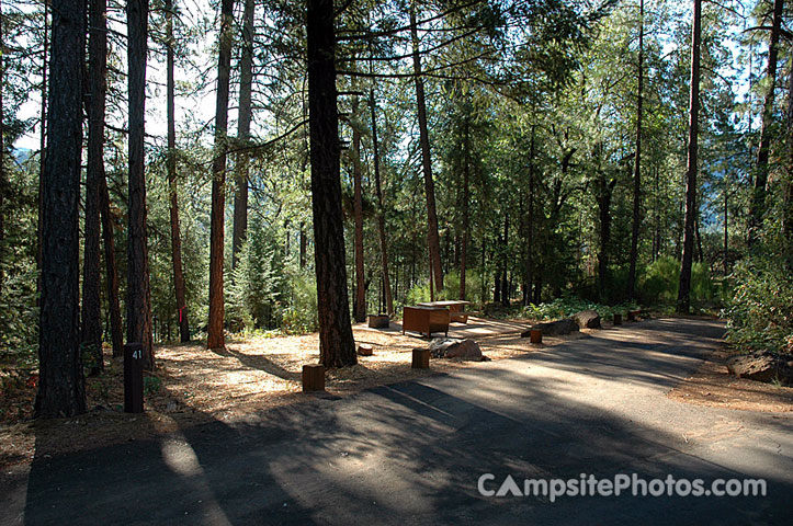 Hirz Bay Campground 041