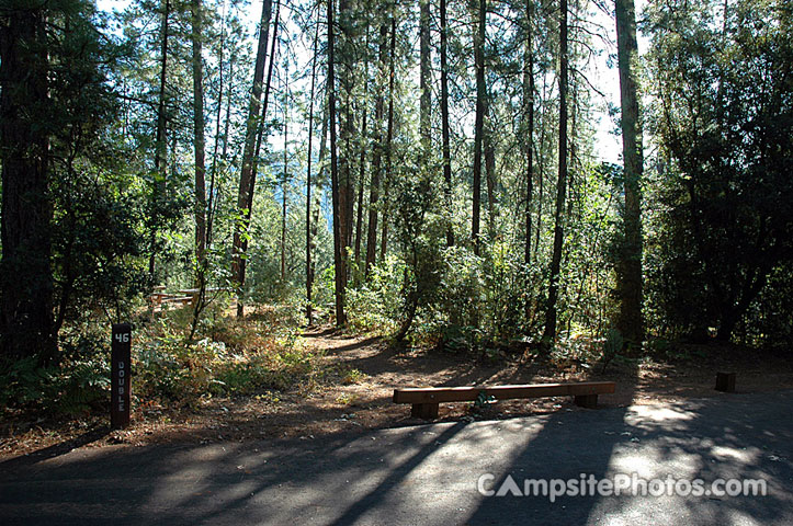 Hirz Bay Campground 046
