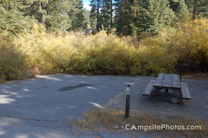 Tahoe SRA Campground 019