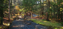 Otter River State Forest