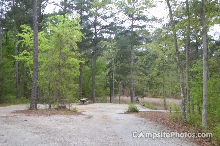 Petersburg Campground 054