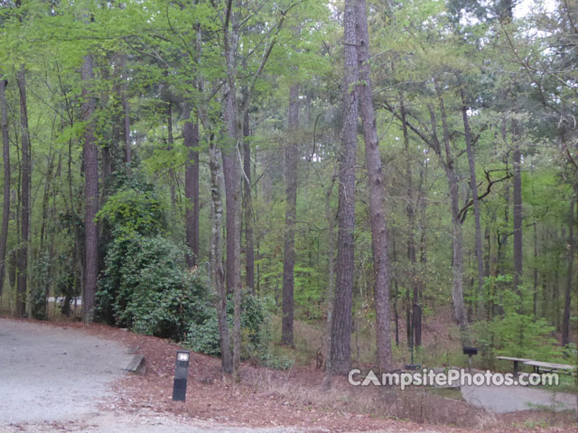 Petersburg Campground 089