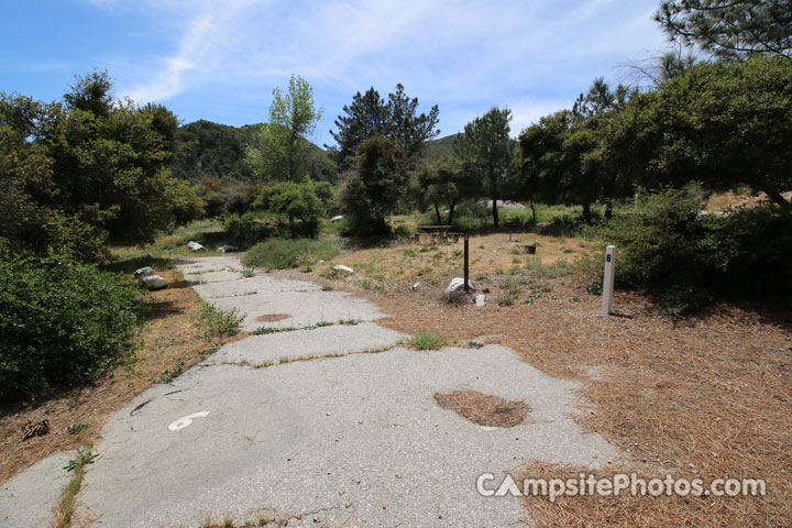 Apple White Campground 006
