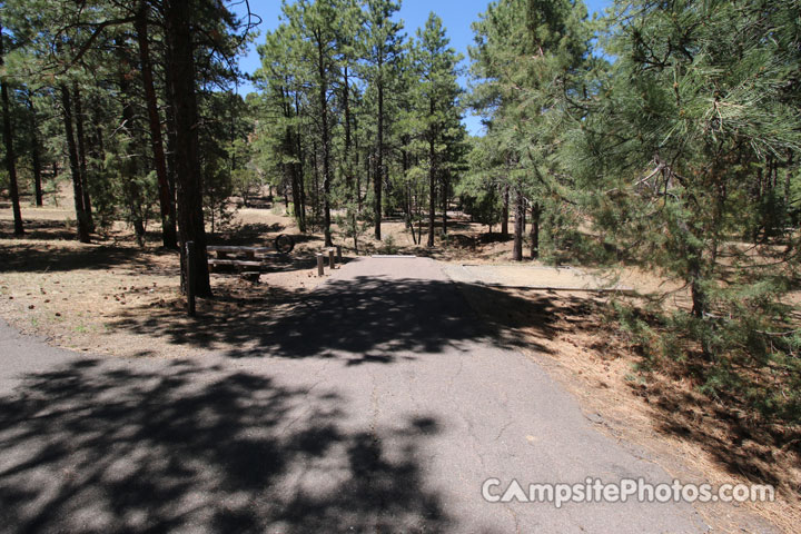 Potato Patch Campground A025