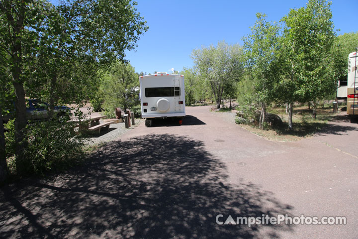 Potato Patch Campground B003