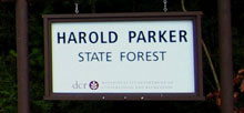 Harold Parker State Forest