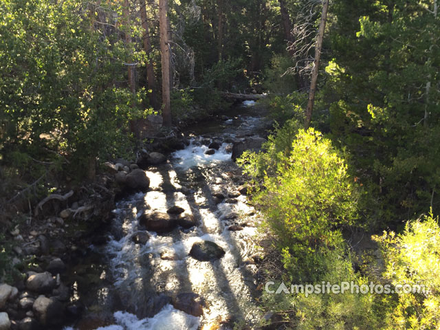 Buckeye Campground Creek View