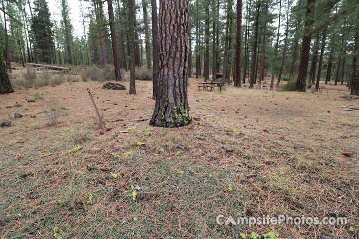 Hat Creek Campground 062