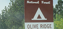 Olive Ridge