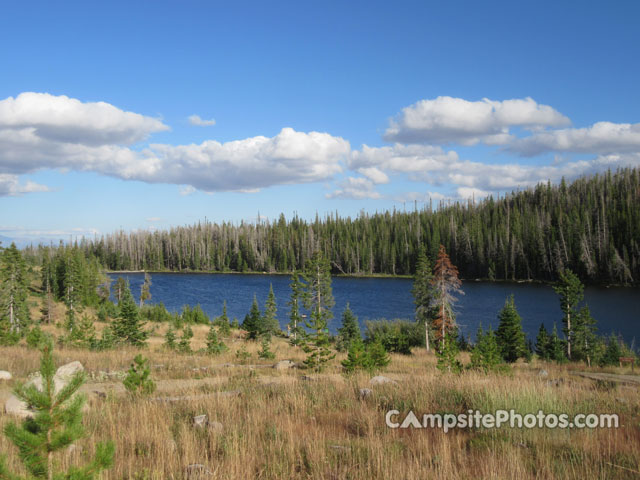 Teal Lake View