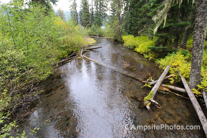 Trapper Creek Campground Creek View