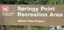 Springy Point