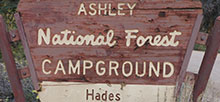 Ashley National Forest