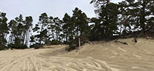 Hauser Sand Camping