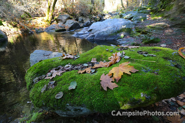 Cal-Ida Campground Fiddle Creek View