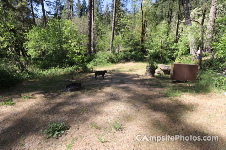 Fiddle Creek 003