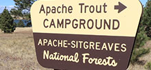Apache Trout