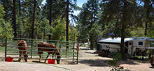 Groom Creek Horse Camp