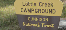 Lottis Creek