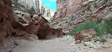 Capitol Reef NP Group