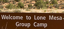 Lone Mesa Group