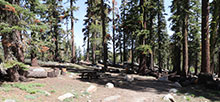 Stanislaus National Forest
