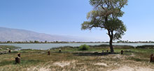 Diaz Lake