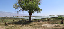 Diaz Lake