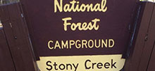 Stony Creek Sequoia