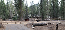 Stony Creek Sequoia