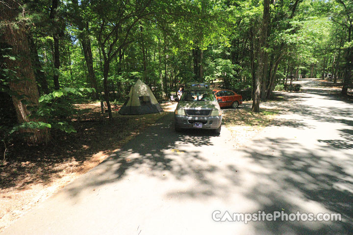 Andrew Jackson State Park 002
