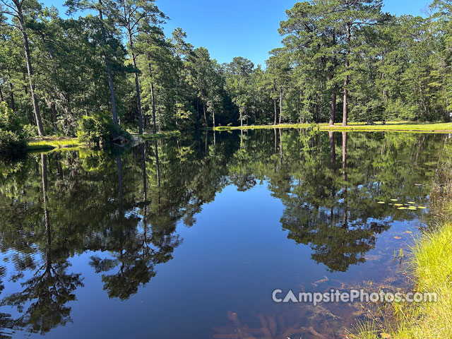 Andrew Jackson State Park Lake View