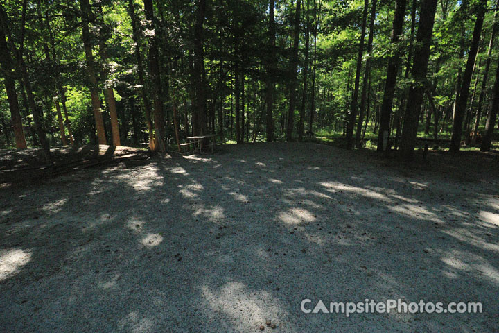 Croft State Park 002