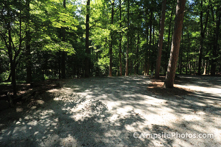 Croft State Park 003