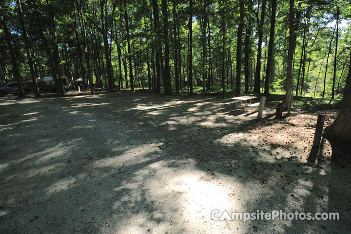 Croft State Park 007