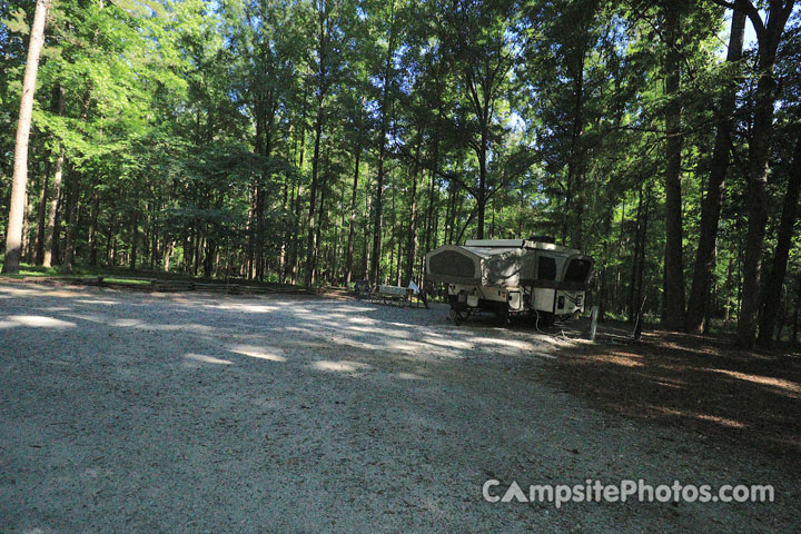 Croft State Park 010