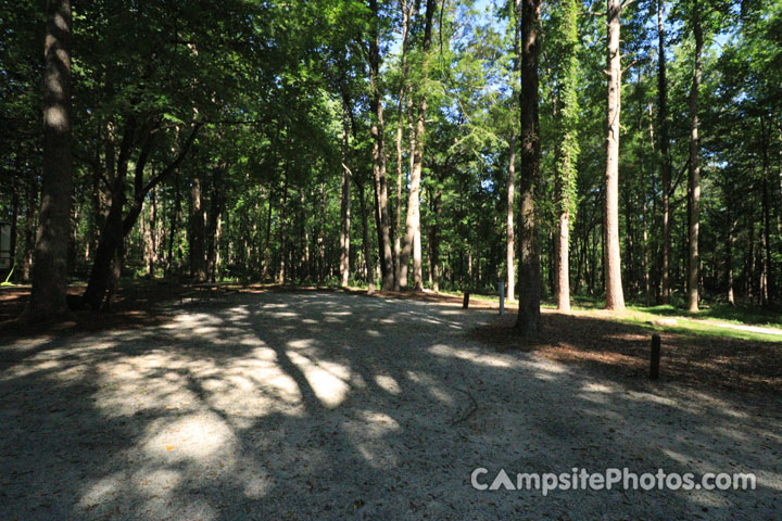 Croft State Park 011