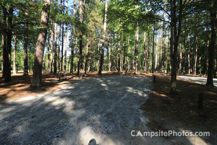 Croft State Park 015