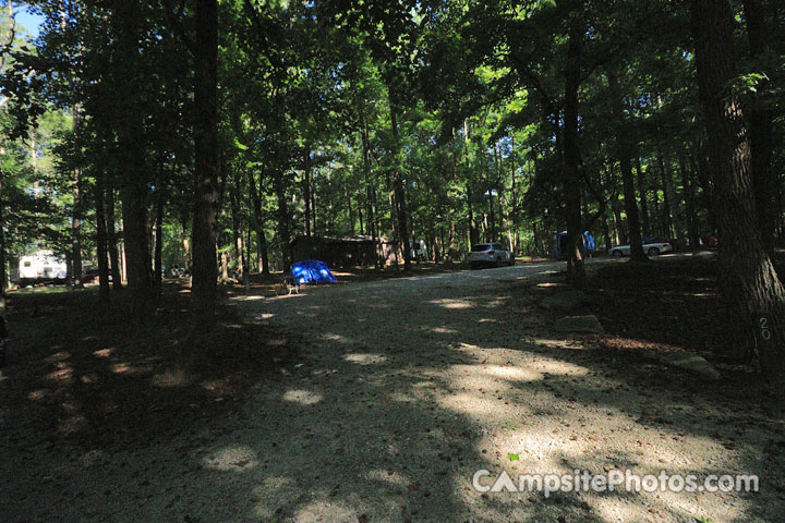 Croft State Park 020
