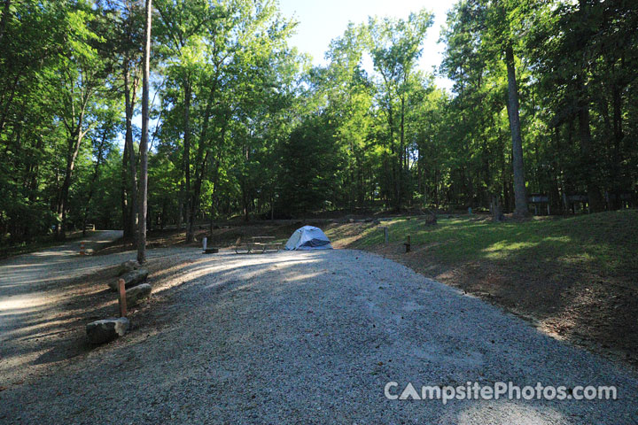 Croft State Park 029