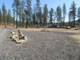 Riverside State Park Equestrian 010